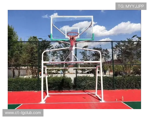 家用篮筐与足球门结合的优缺点分析及使用建议